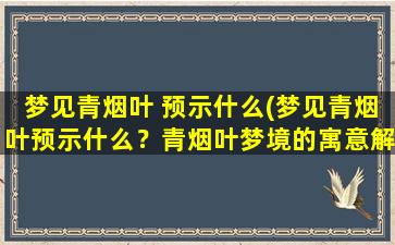 梦见青烟叶 预示什么(梦见青烟叶预示什么？青烟叶梦境的寓意解析)